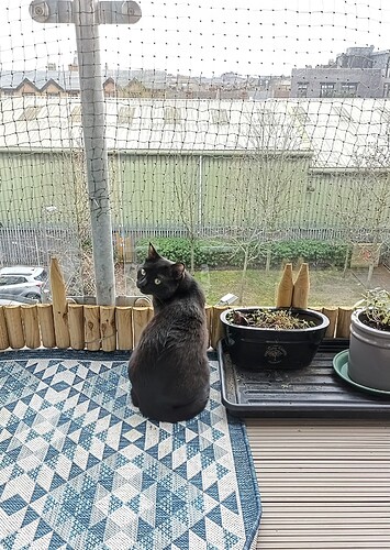 IMG_20250221_101510_800~2