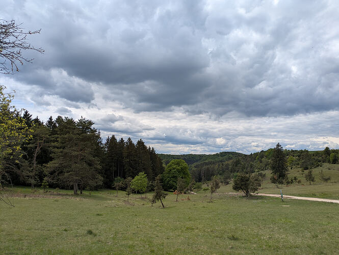 PXL_20260517_123354671