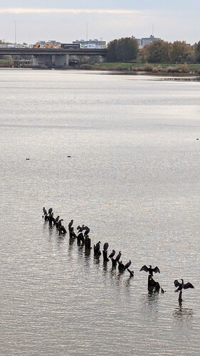 PXL_20251113_113028322