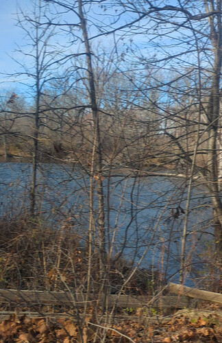 Screenshot_20251122-135022