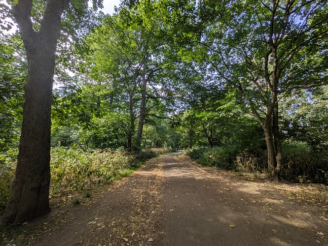 PXL_20250626_135350052