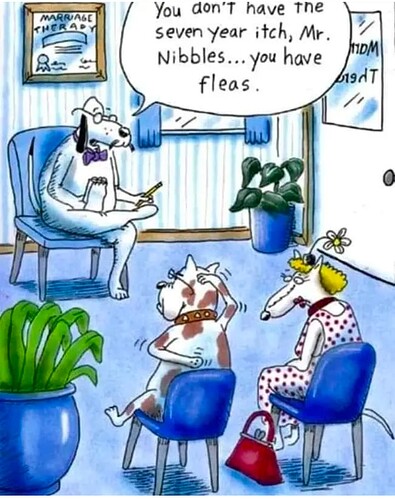 Screenshot_20241116-200716