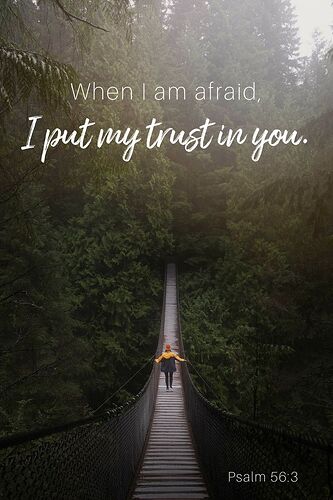 b28daa516acb3faded34519a7716006a