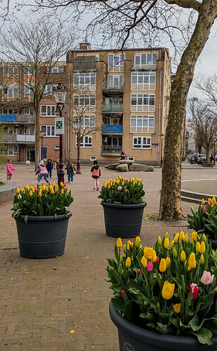 PXL_20260403_083007576 (1)