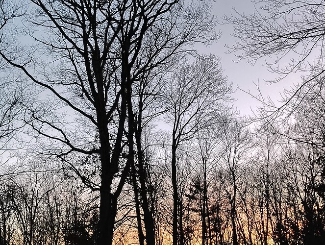 IMG_20241105_165842823_HDR