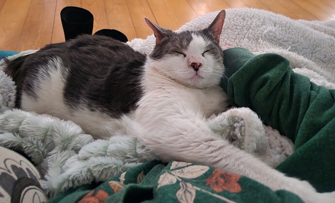 Resized_20240204_122246_1707067378582