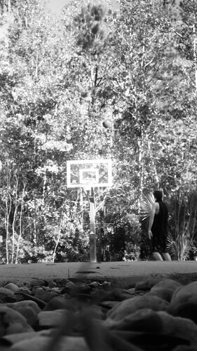 66051C53-8423-4E48-936D-8826502C0DCE