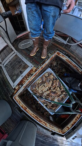 90fe632d397072cca168dfef4119126a_108942.16666666666_1766765680746