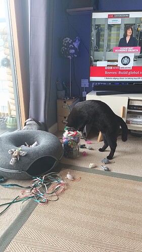 IMG_20250129_101803_305