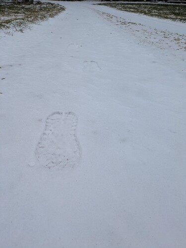 PXL_20251225_091433621