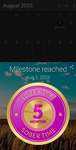 Screenshot_20250801_151319_Sober Time