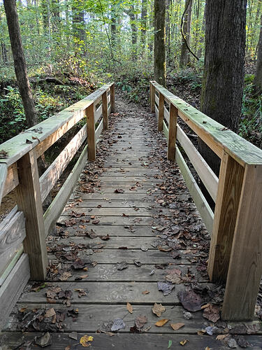 IMG_20250927_083056660_HDR