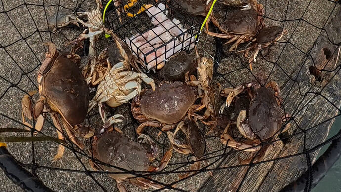 VID_20260307_162854_00_001_2026-04-12_03-10-39_screenshot