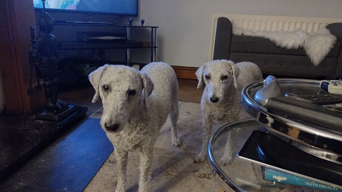 IMG_20231028_214533530_HDR