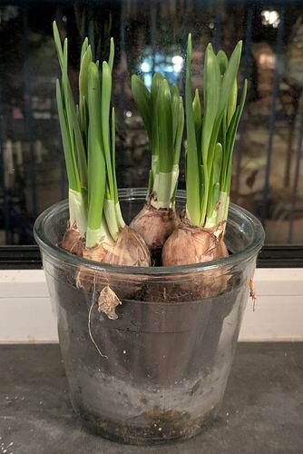 PXL_20260128_191613173.PORTRAIT.ORIGINAL