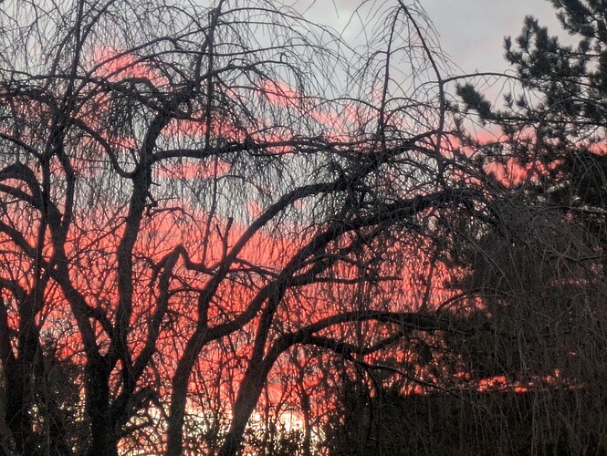 PXL_20251123_222147932