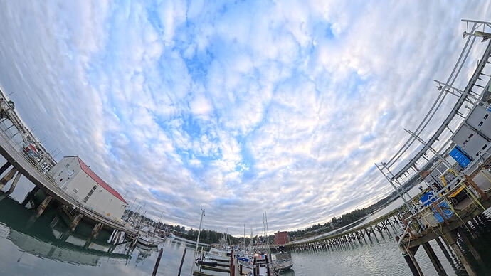 VID_20251211_083827_00_010_2026-02-01_13-22-21_screenshot