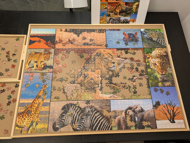 PXL_20260204_182912663