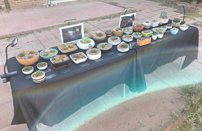 Screenshot_20260307_085853_Gallery