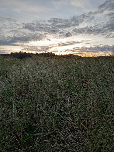 IMG_20260418_063347608_HDR