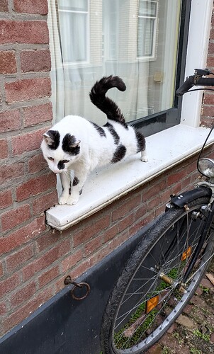 PXL_20260116_095330891 (2)