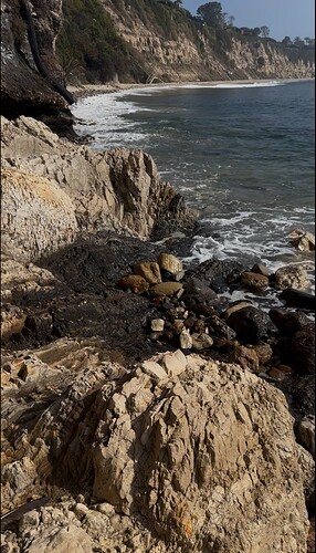 IMG_9890