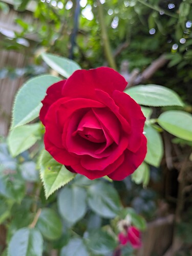 PXL_20250714_163450494