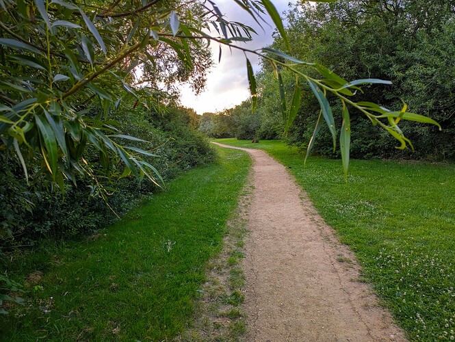 PXL_20250623_044449706~2