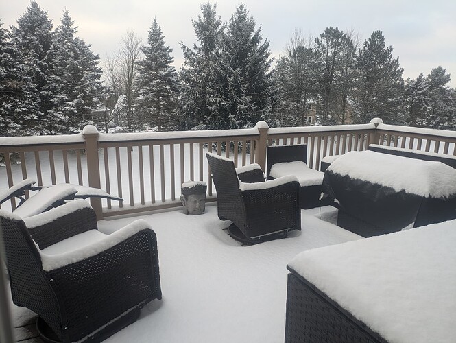 PXL_20250213_140221888