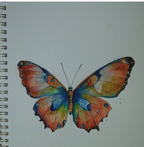 Screenshot_20260128_160521_Gallery