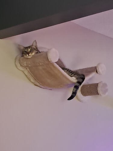 20250530_172818