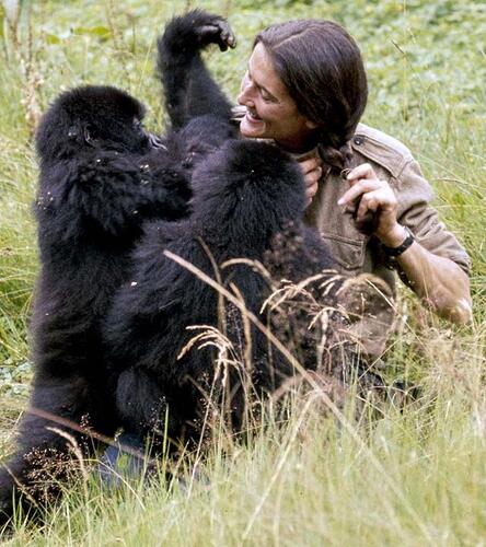 image-artede-dian-fossey-ihr-leben-fuer-die-gorillas-100~640x720