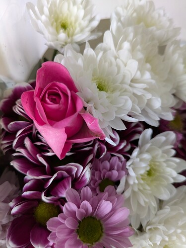 PXL_20250524_083646197