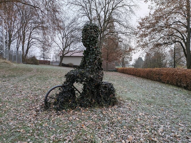 PXL_20251123_073414657