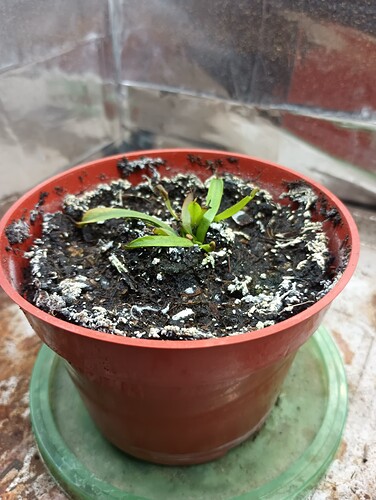 IMG_20240601_115513931