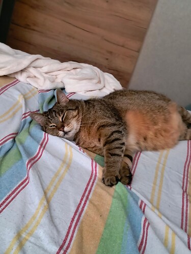 IMG_20250727_190457665