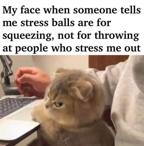 FB_IMG_1698034372367