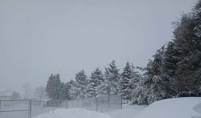 IMG_20250217_100455526~2