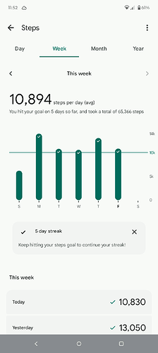 Screenshot_20250801-235225.Fitbit