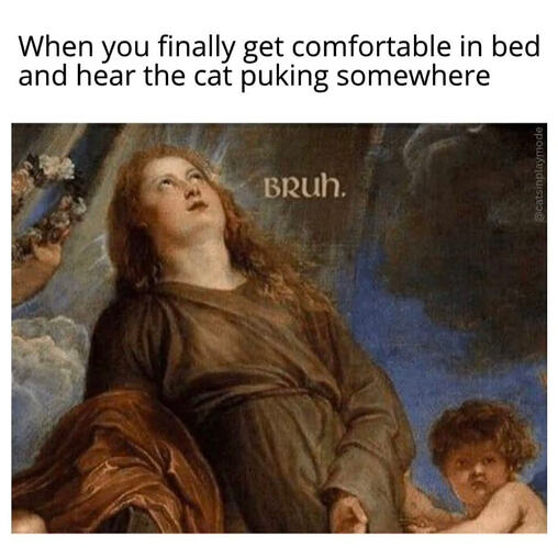 Screenshot_20260131-085755