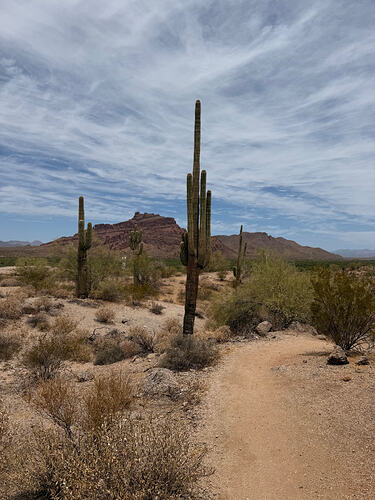 IMG_0007