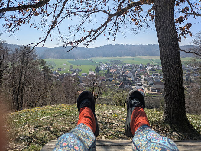 PXL_20260411_114255254