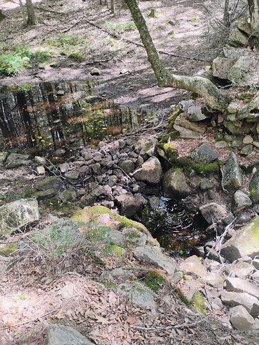 IMG_20250901_141957413_HDR_AE