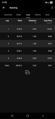 Screenshot_20251127_110338_Garmin Connect