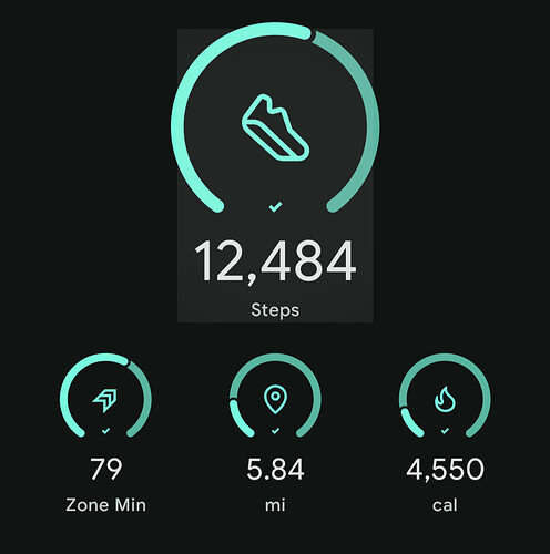 Screenshot_20260404-204517.Fitbit