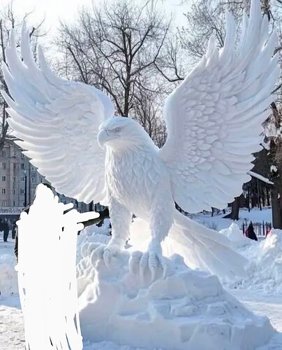 Screenshot_20250218-085047~2