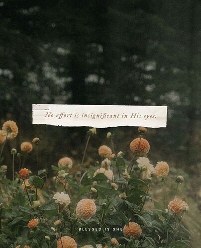 b45f28787ab805b67486e6cfff919dc1