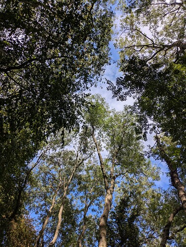 PXL_20250828_131243374