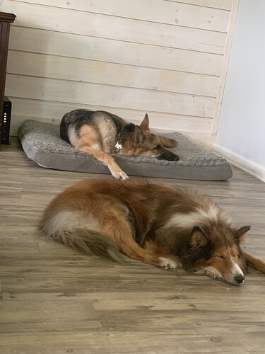 58654532061__6645BDAB-550E-4428-9D82-573CA4435257