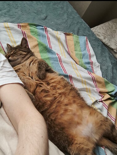 Screenshot_20250806-234222~2